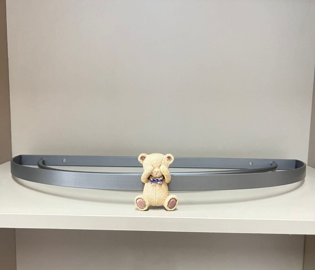 WhatsApp-Image-2024-07-26-at-09.11.41.jpeg Dossel Ursinho. - Imagem 1